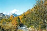 automne aux Verneys 2 
